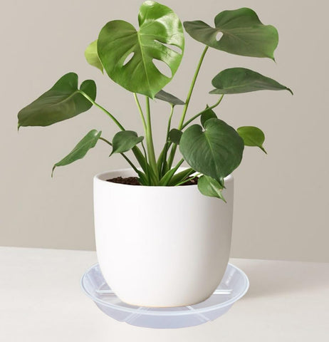 MSKIAUO elevated base ensures better drainage and airflow under pots.