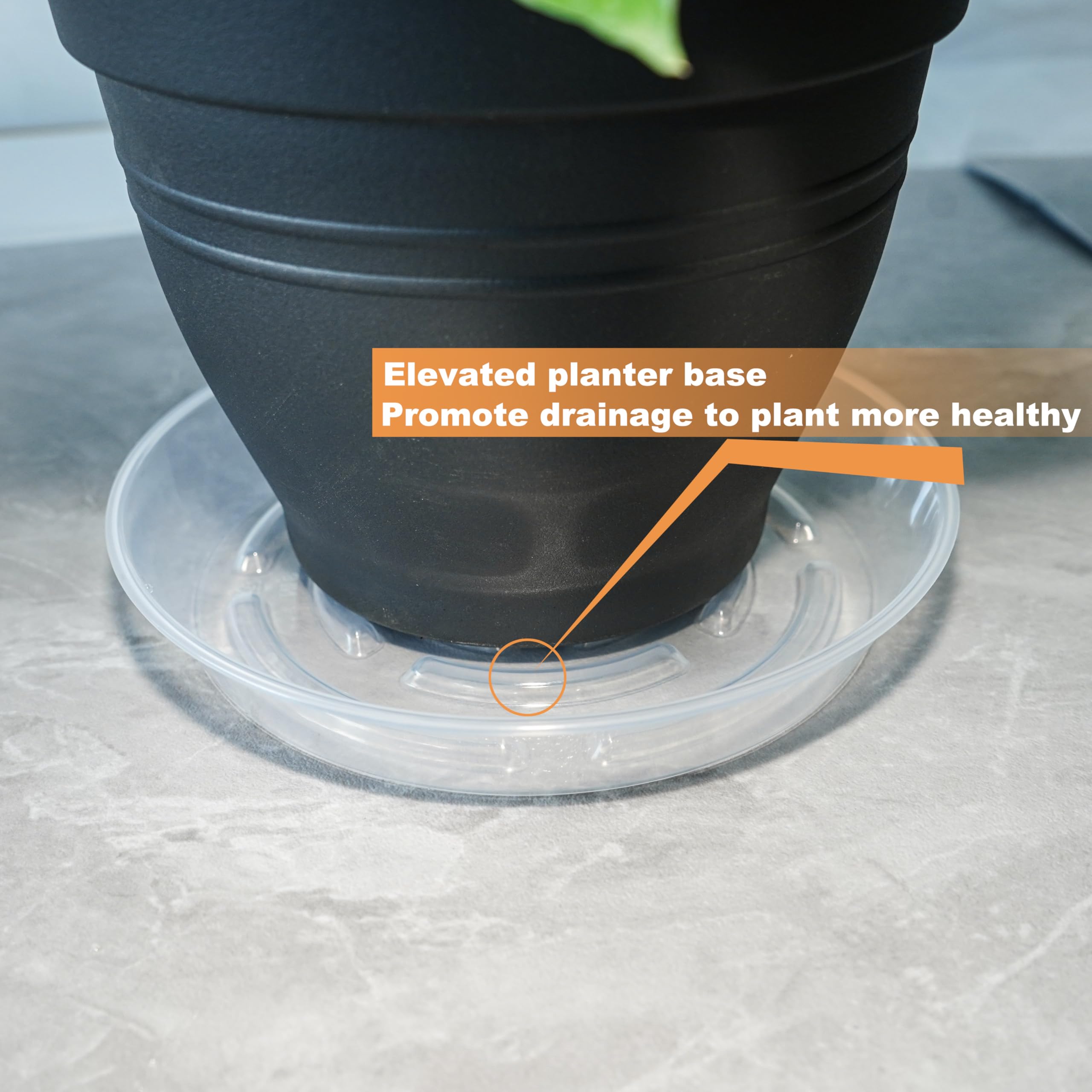 MSKIAUO elevated-base saucer highlights breathable design and better drainage.