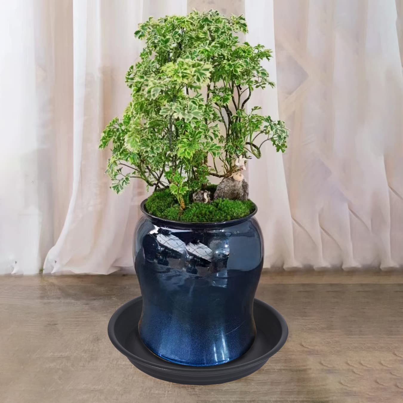 MSKIAUO indoor-outdoor compatibility keeps spaces tidy and plants thriving.