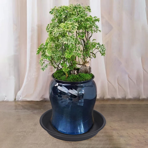 MSKIAUO indoor-outdoor compatibility keeps spaces tidy and plants thriving.