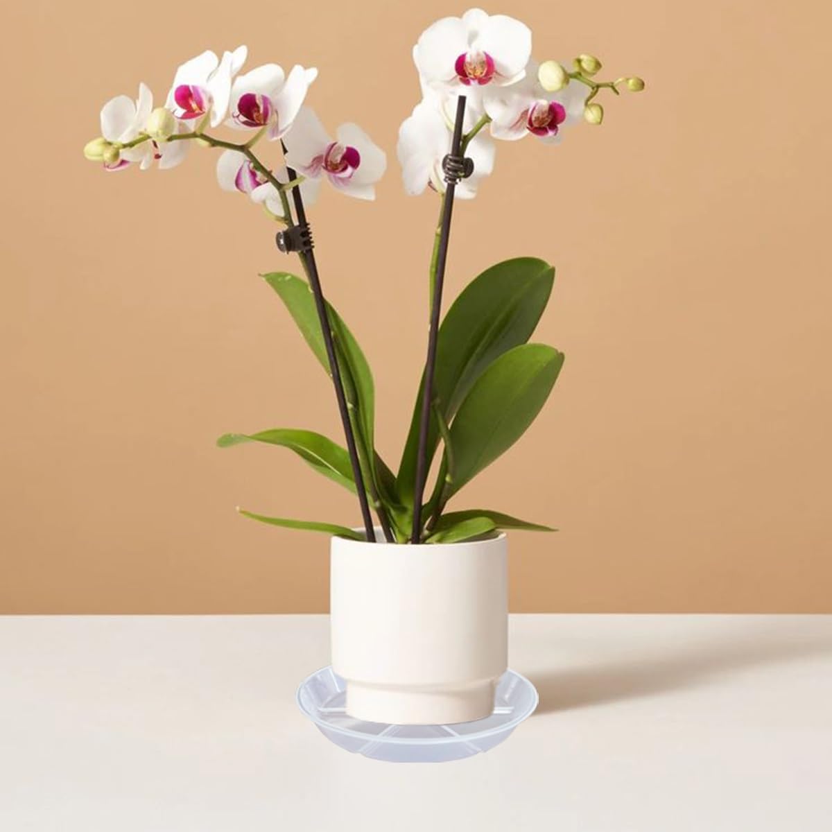MSKIAUO minimalist design blends with any decor.
