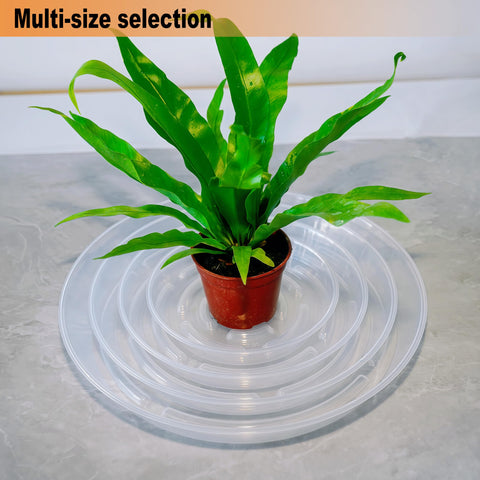 MSKIAUO six-pack saucers offer versatile use for pots and planters.
