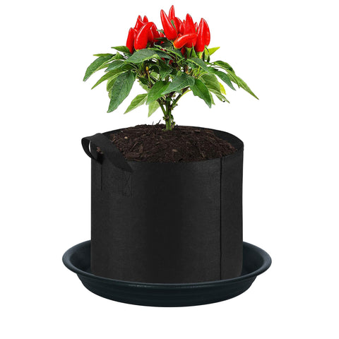 MSKIAUO height 1.2-inch waterproof tray catches runoff.