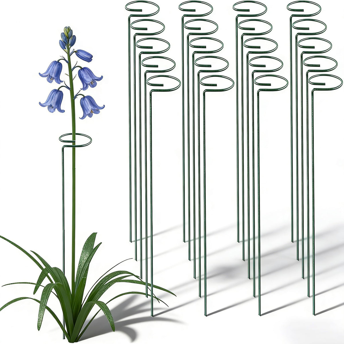 MTB Supply 36-inch green single-stem stake supports tall flowers discreetly.