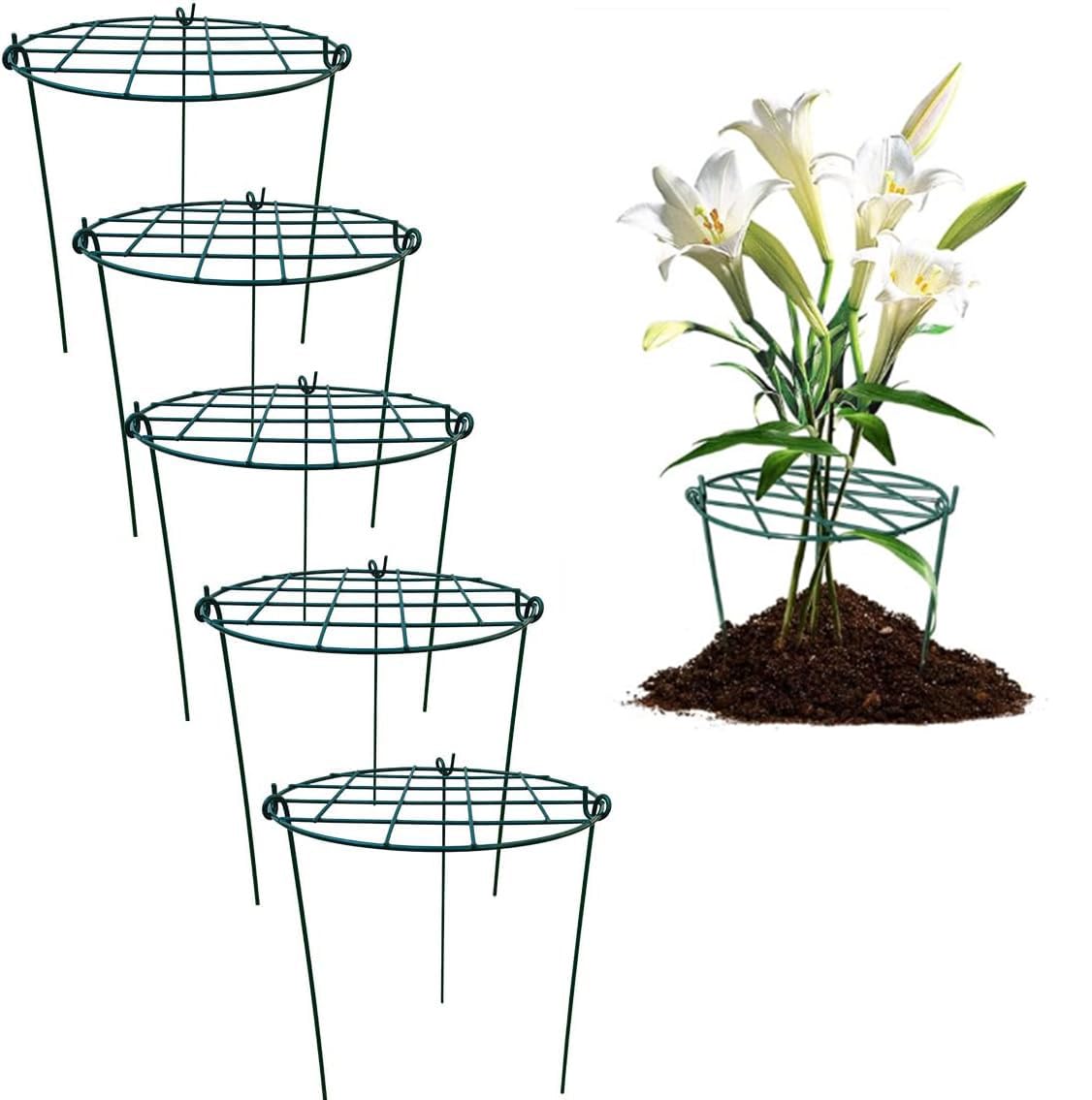 MTB Supply 5-pack peony cages ready to support upright blooms.