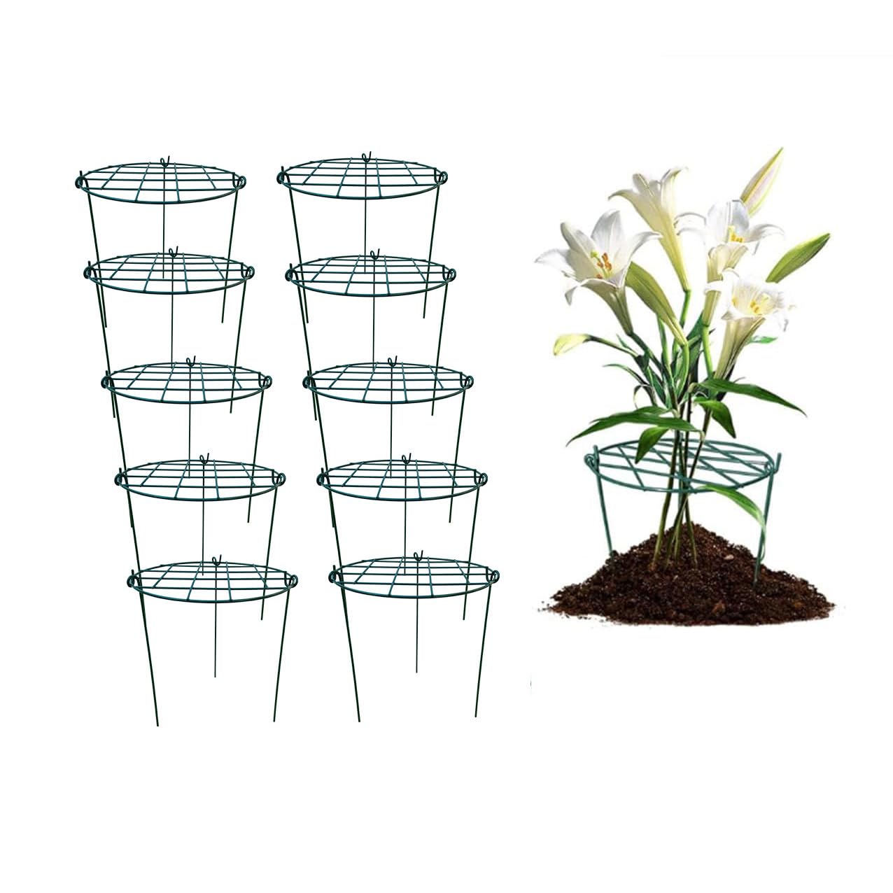 MTB Supply peony cages grid hoop supports growth, keeping plants upright