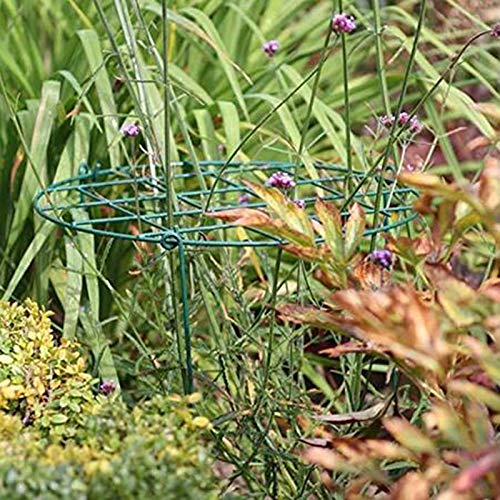 MTB Supply peony cages brace heavy blossoms without crowding branches