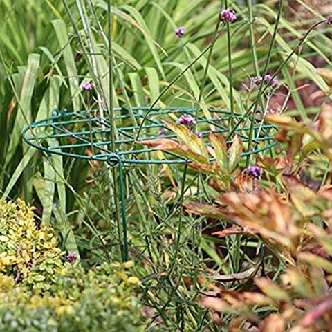 MTB Supply peony cages brace heavy blossoms without crowding branches