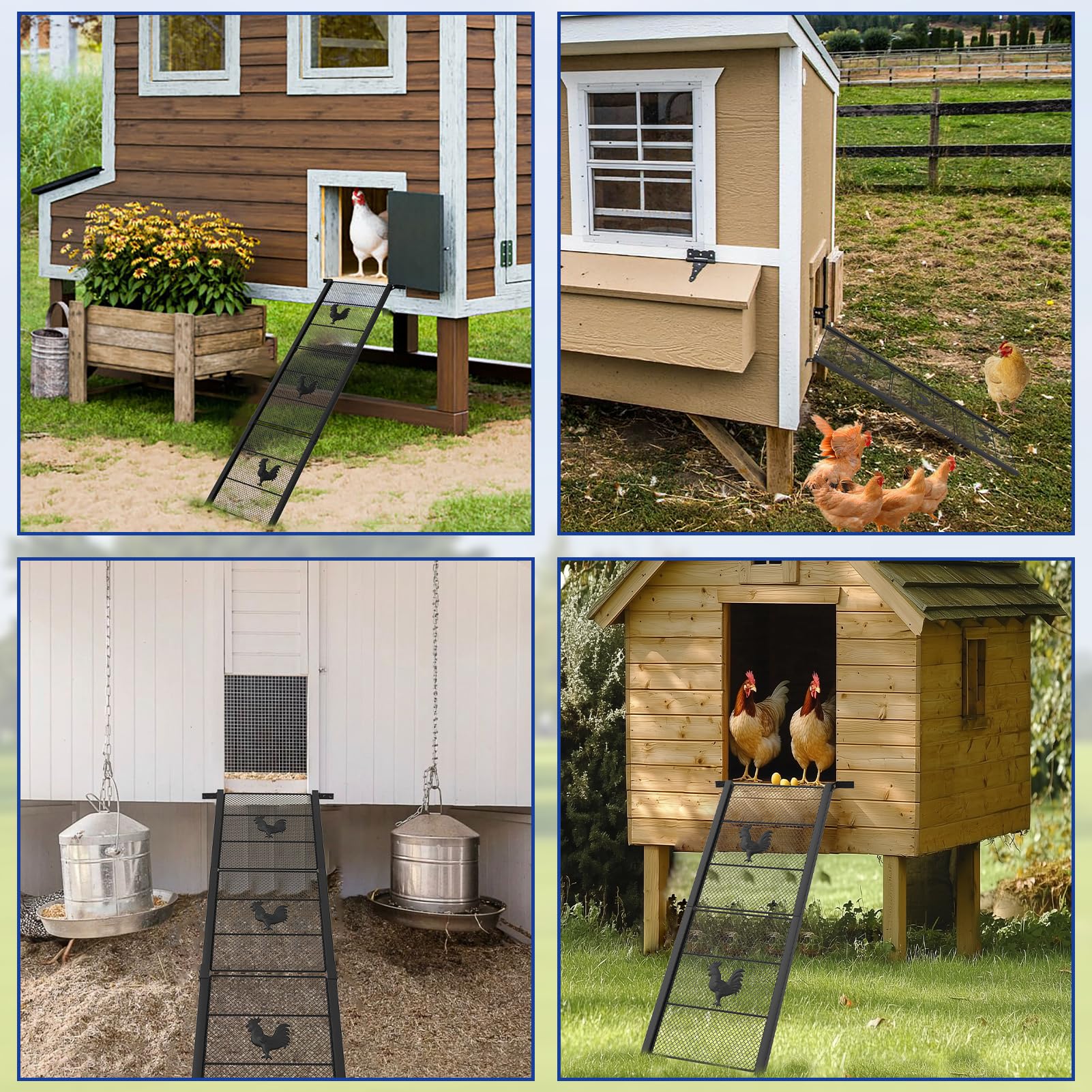 MTGSTOCL easy-clean chicken ramp rinses quickly for low-maintenance coop care.
