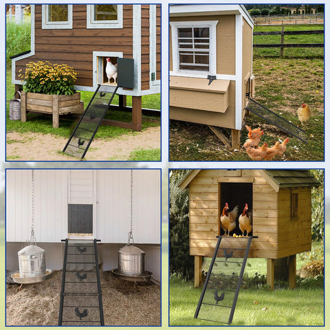 MTGSTOCL easy-clean chicken ramp rinses quickly for low-maintenance coop care.