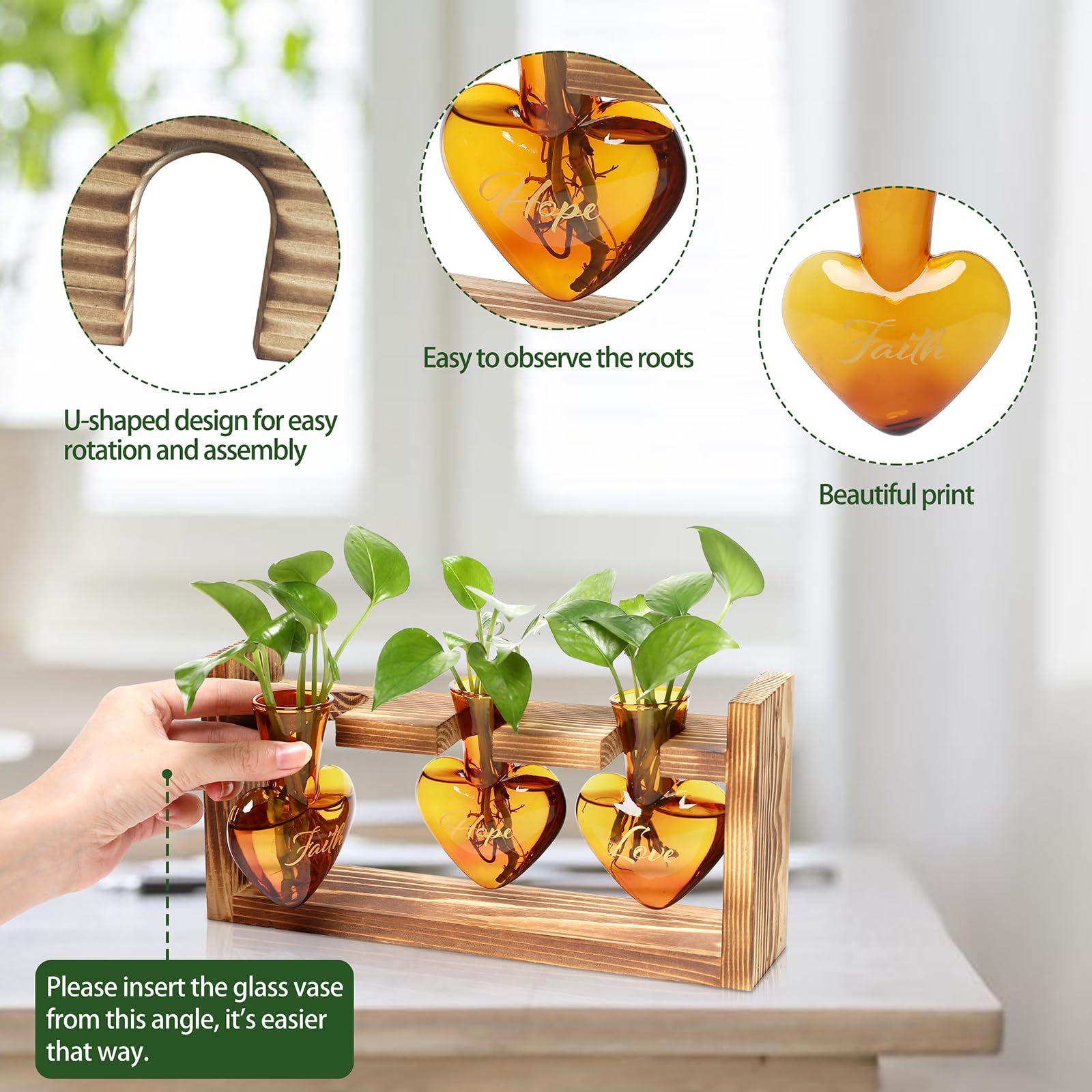 MTsigns colored heart glass vase with mineral blend for lasting color and propagation view.