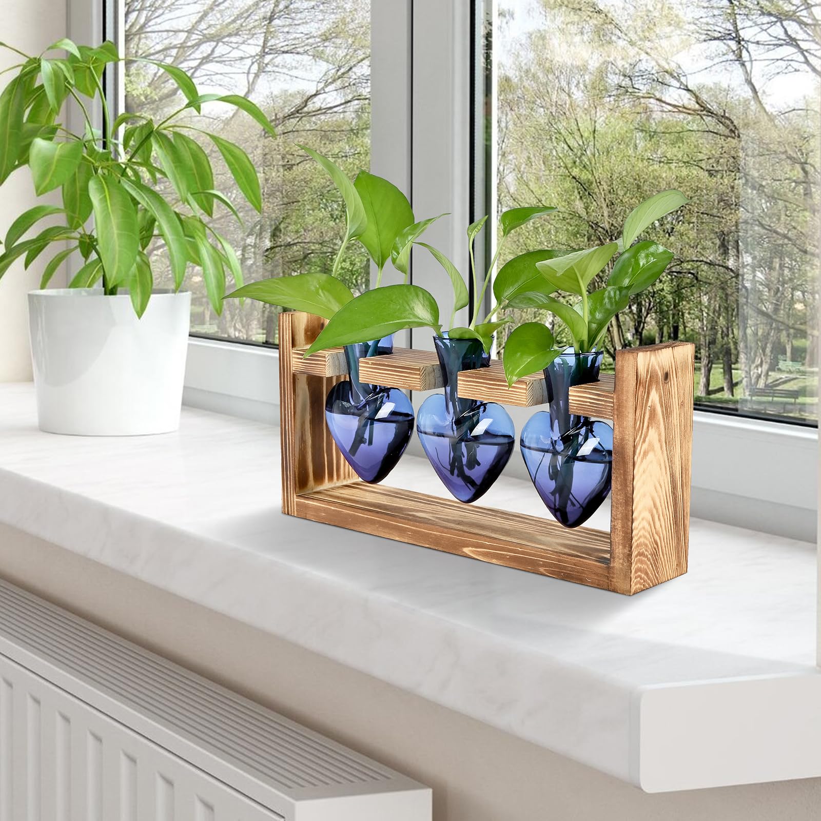 MTsigns compact desk display supports small hydroponics and home gardening