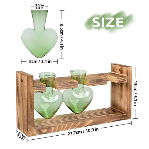 MTsigns desk garden display blending elegance with greenery