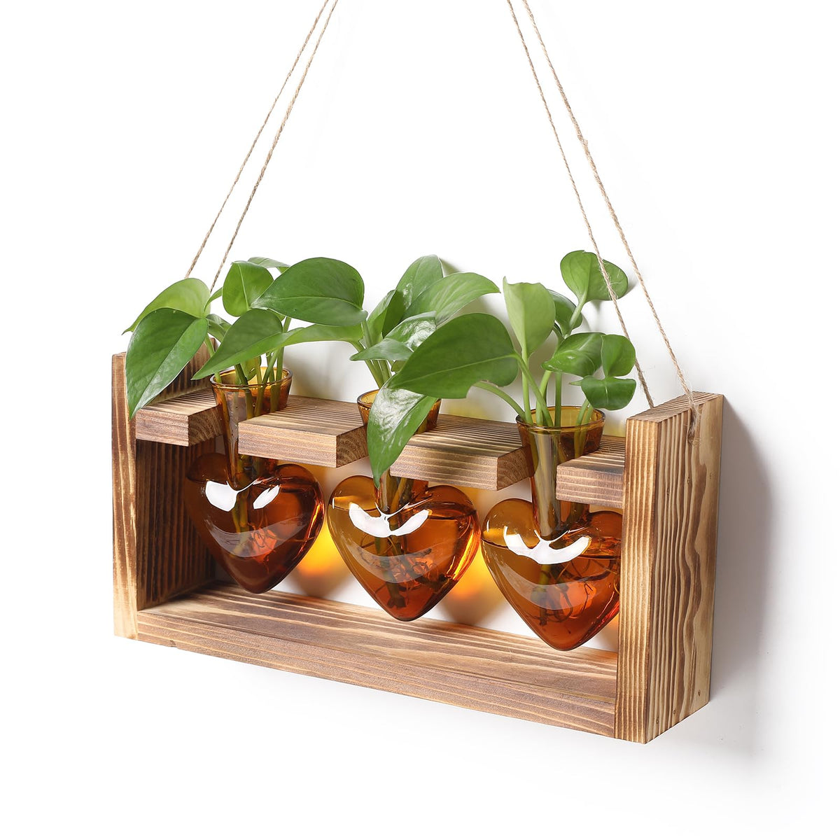 MTsigns heart-shaped glass terrarium on a sturdy wooden stand for stylish desk decor.