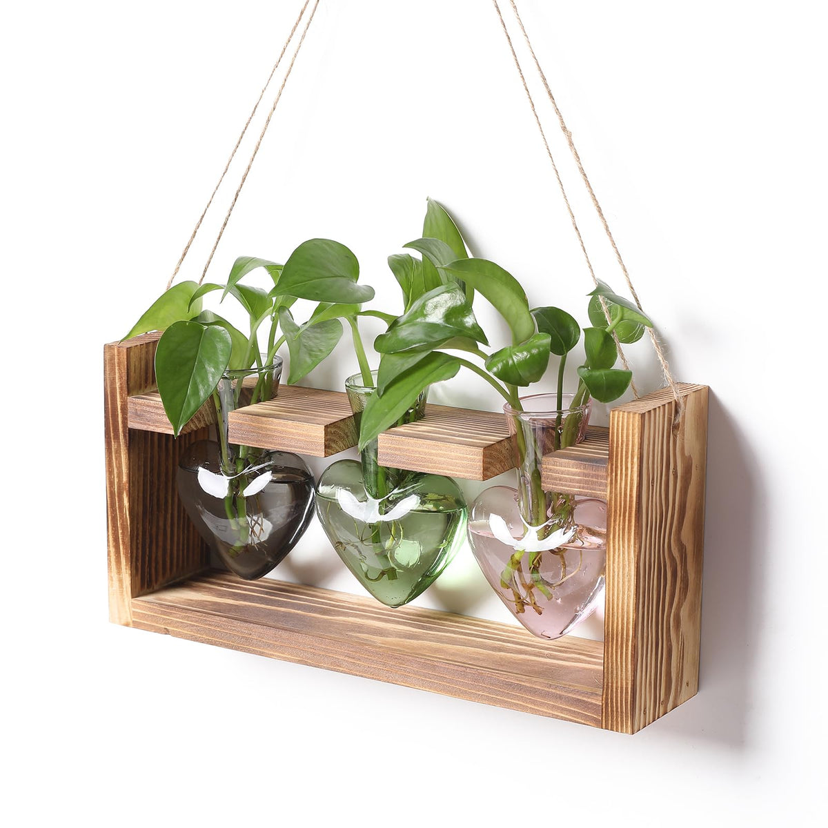 MTsigns heart-shaped glass vase for propagation setup on your desk.