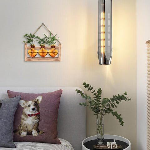 MTsigns elegant plant display for home or office decor.
