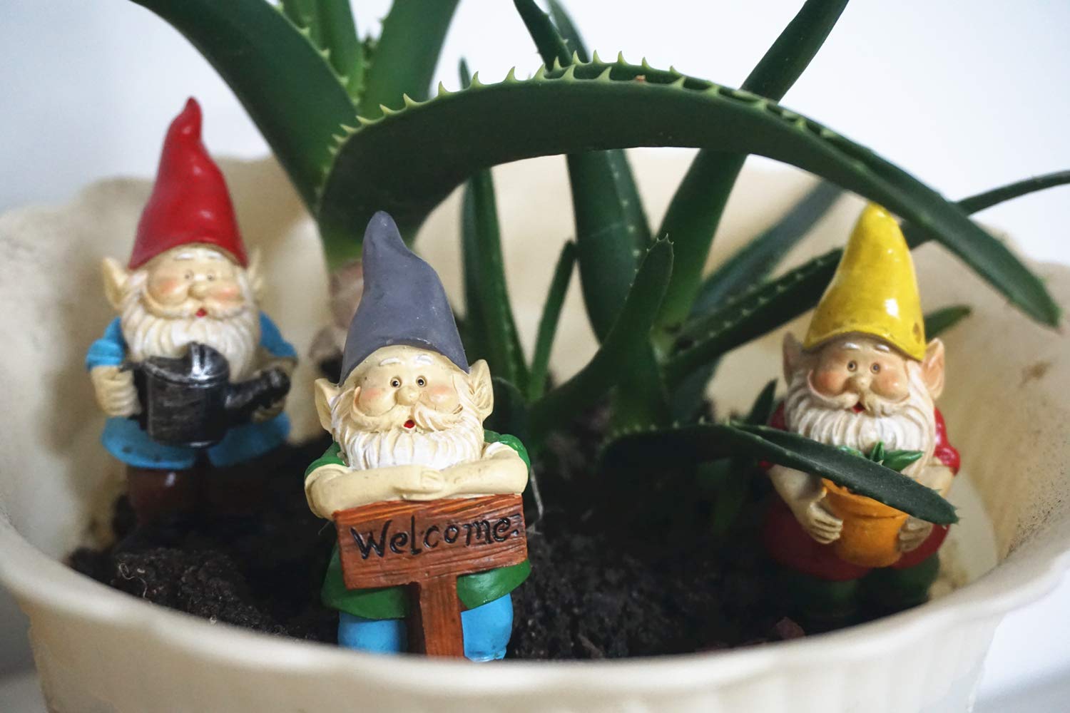 MUAMAX arrangement-ready gnomes invite creative landscaping and gifting.