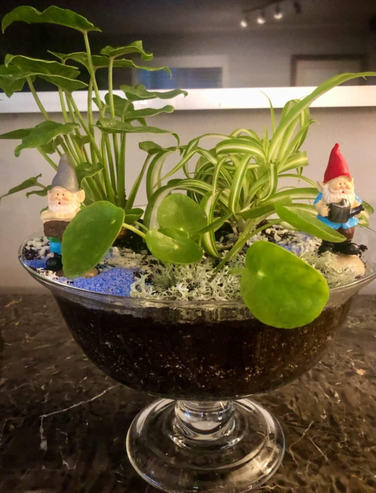MUAMAX small 3-inch gnomes easily fit into existing garden decor.