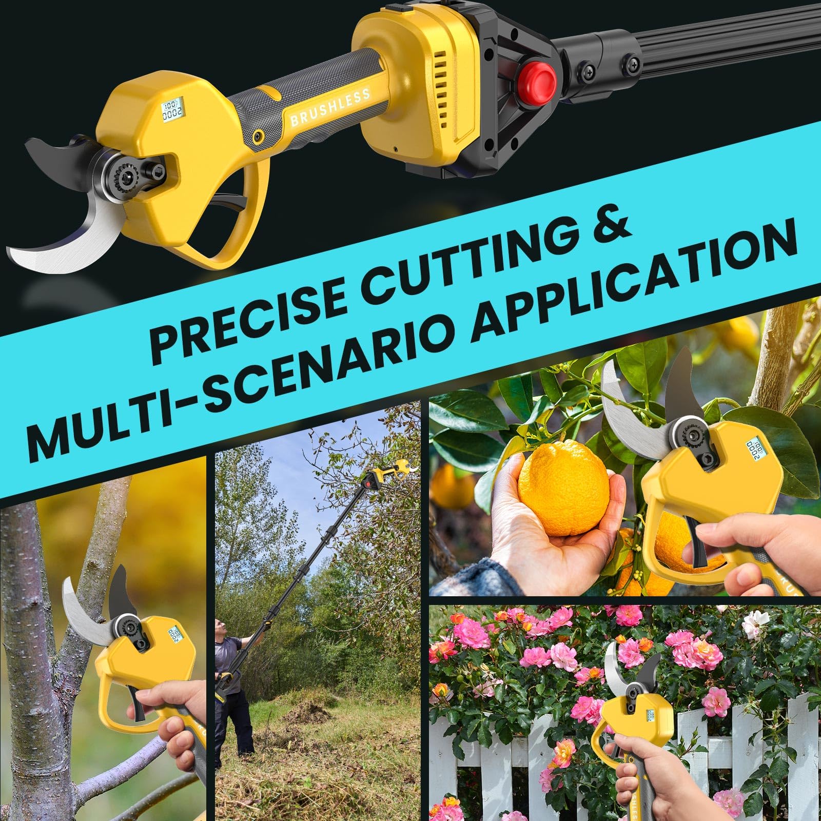 MuatCtarom one-year warranty and 24/7 support