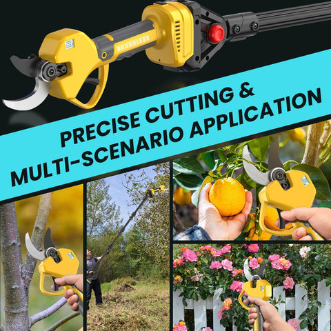 MuatCtarom one-year warranty and 24/7 support