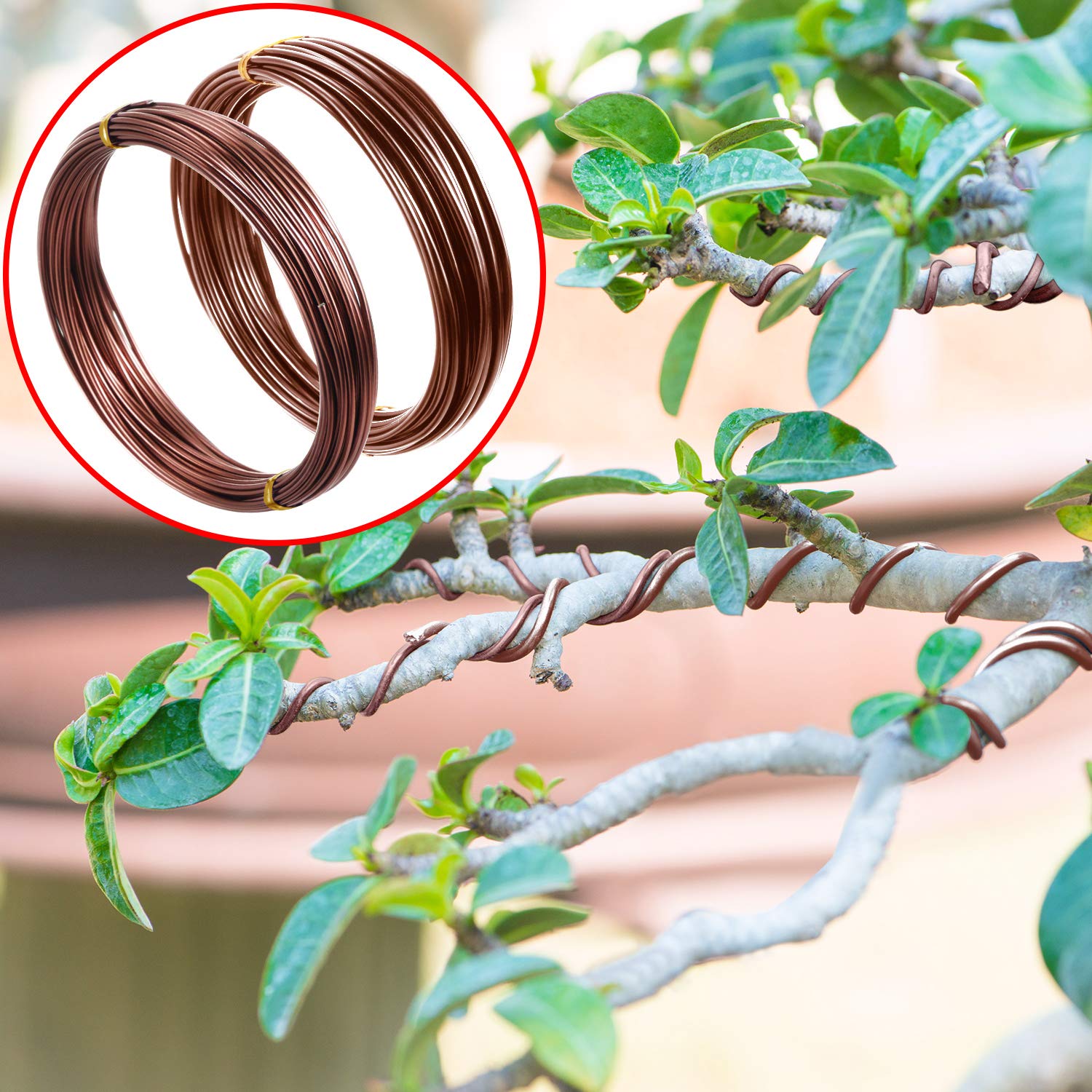 Mudder 160ft total bonsai wire set for versatile training