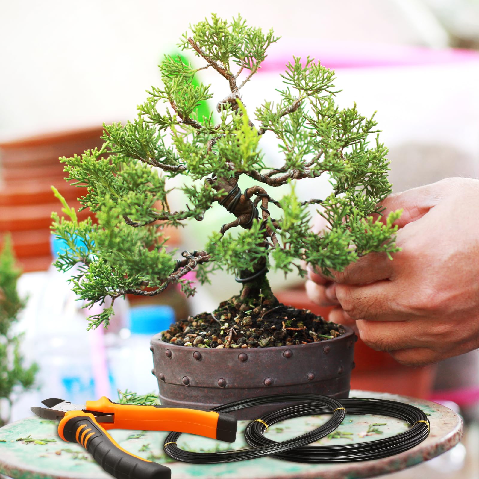 Mudder Bonsai Wire Training in action on a small trunk.