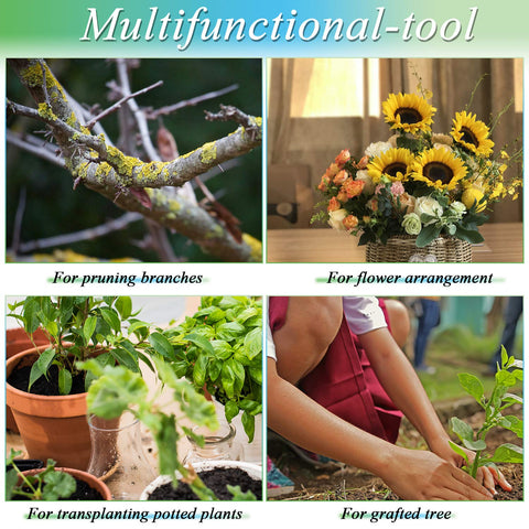 Mudder budding-graft-project-use in the garden shows versatility.