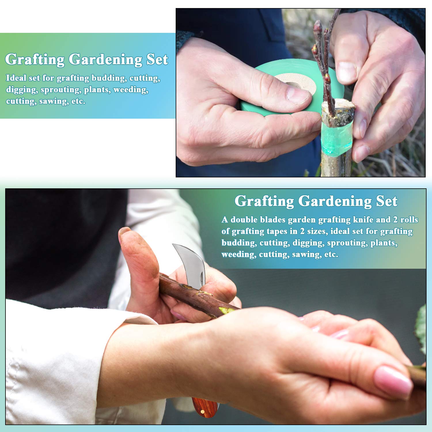 Mudder curved-blade-precision-cut helps target graft position.
