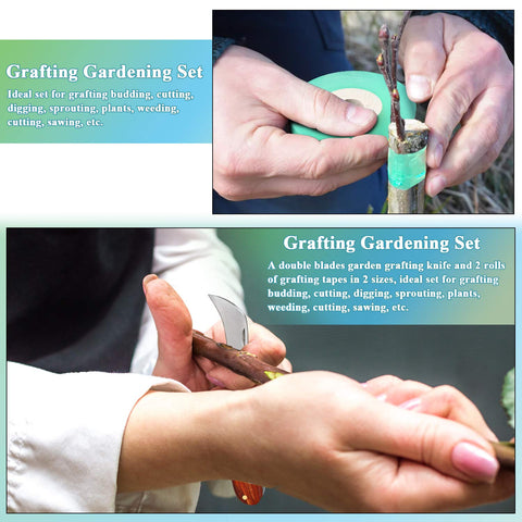Mudder curved-blade-precision-cut helps target graft position.