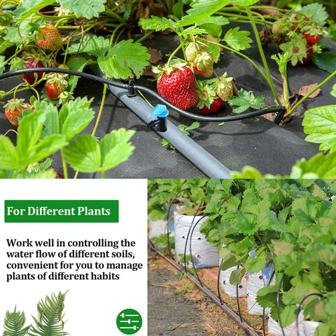 Mudder water-saving drip emitter supports efficient irrigation