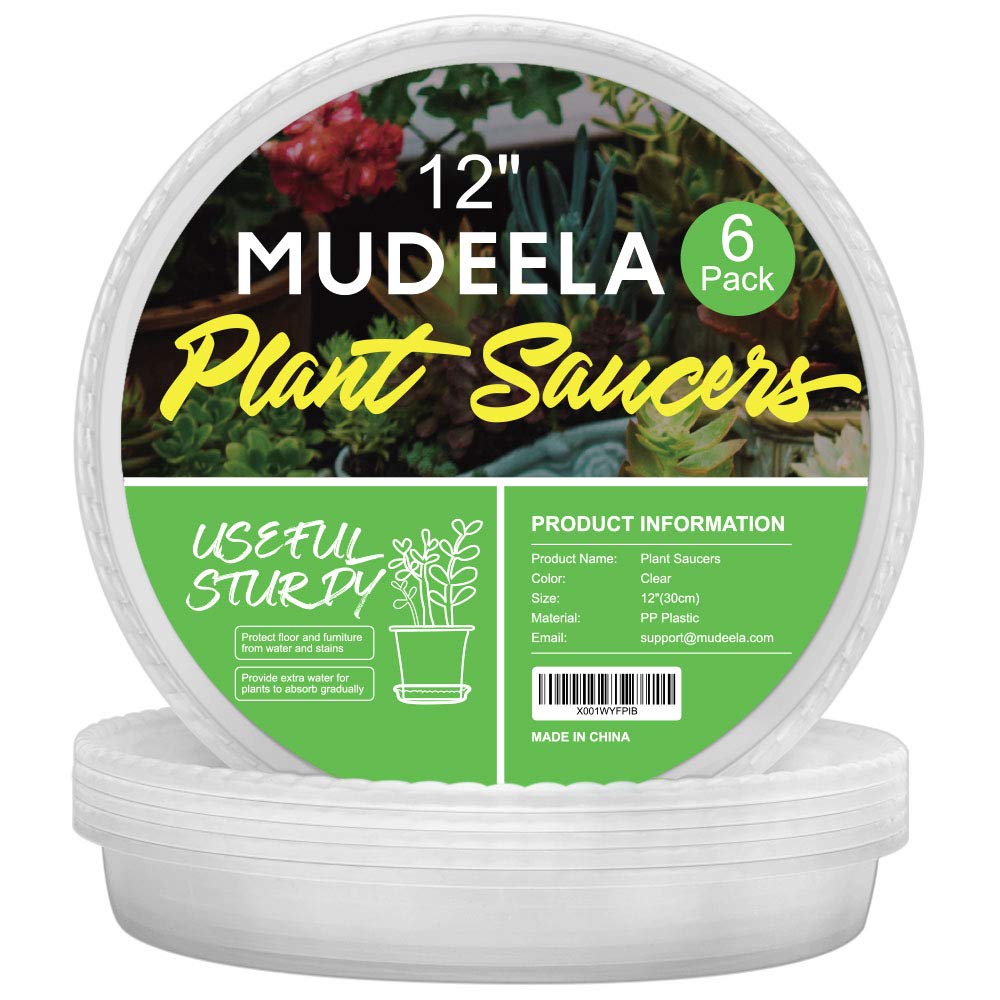 MUDEELA 12-inch clear plant saucer front view shows durable thickness.
