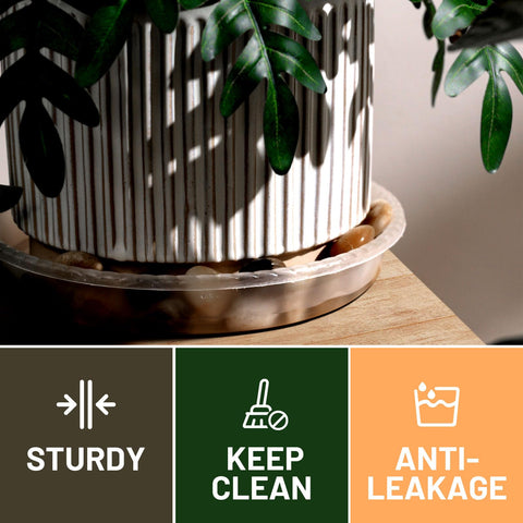 MUDEELA taller-design saucer shown with generous edge height.