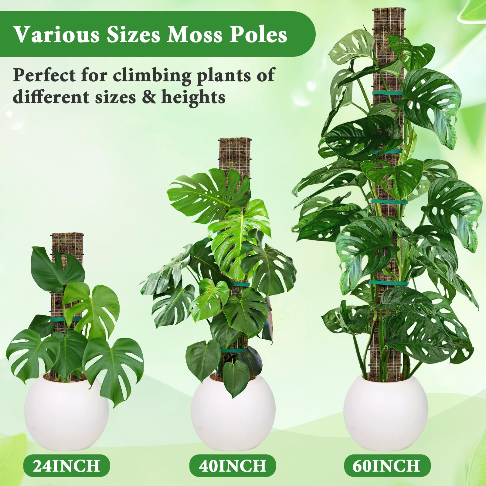 MUDEREK 6-pack moss poles for versatile indoor setups