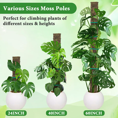 MUDEREK 6-pack moss poles for versatile indoor setups