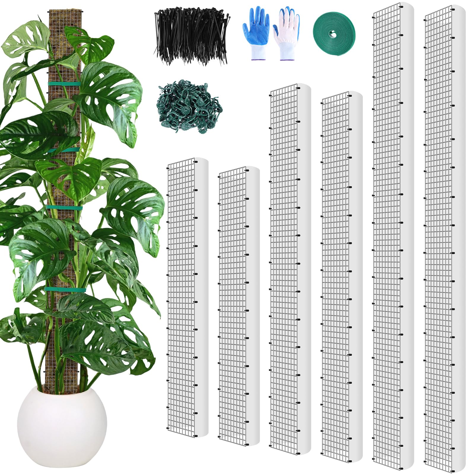 MUDEREK 60-inch D-shaped moss pole for sturdy climbing plant support