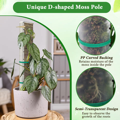 MUDEREK metal moss pole mesh delivers durable climbing support