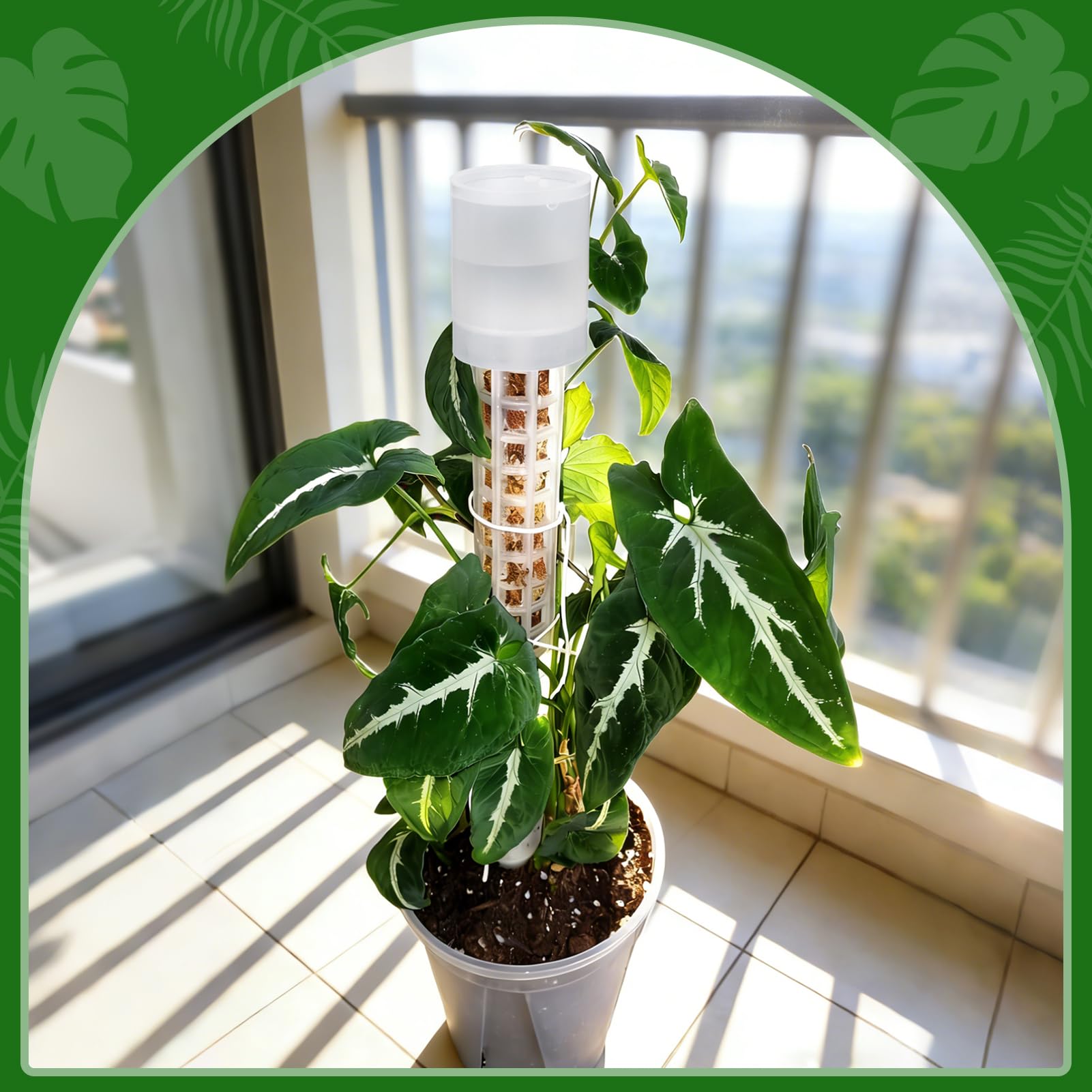 MUDEREK Transparent dripper showing water level visibility.
