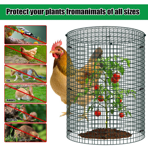Muderek rectangular protection cage suitable for larger shrubs and vegetables