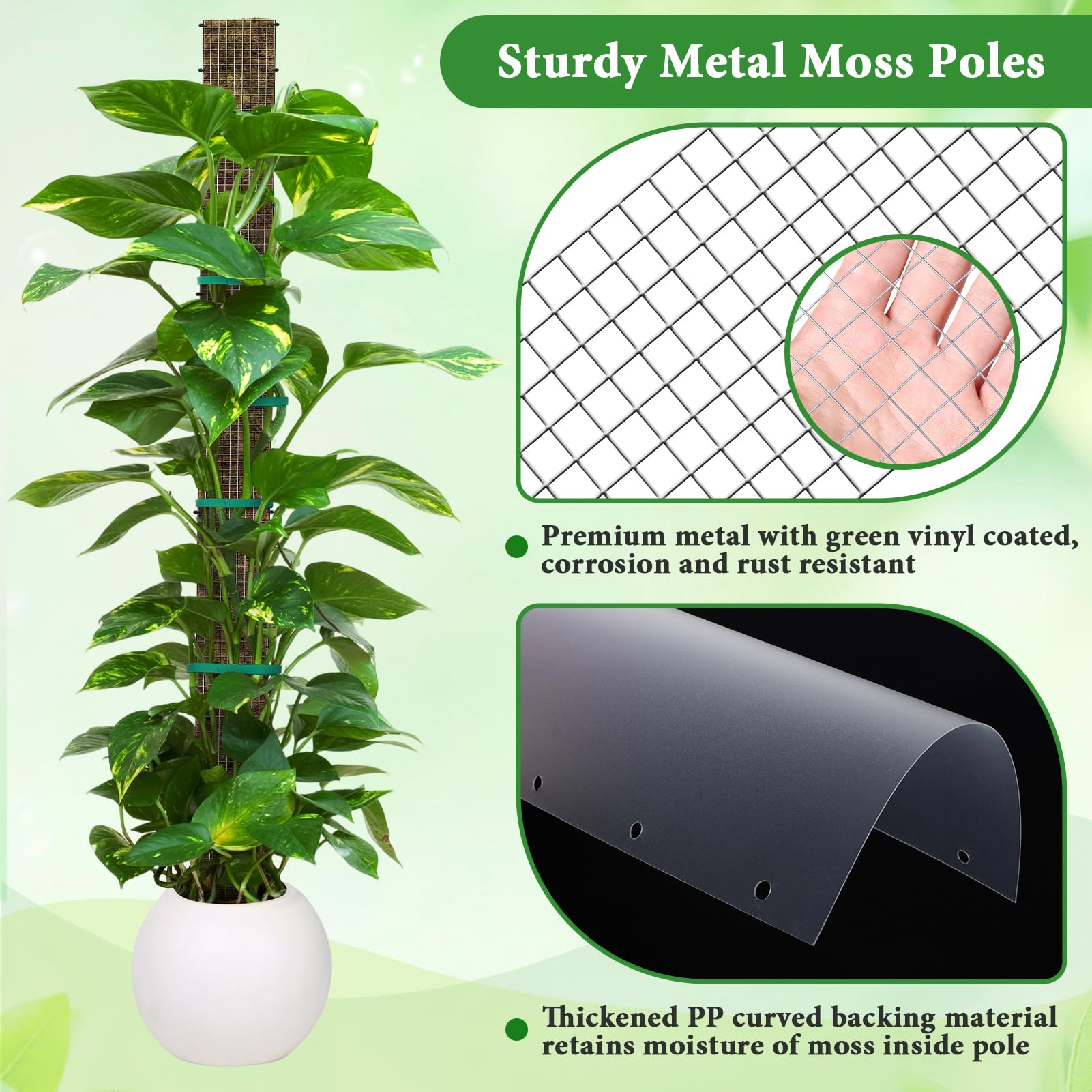 MUDEREK aerial roots attach easily to moss pole surface