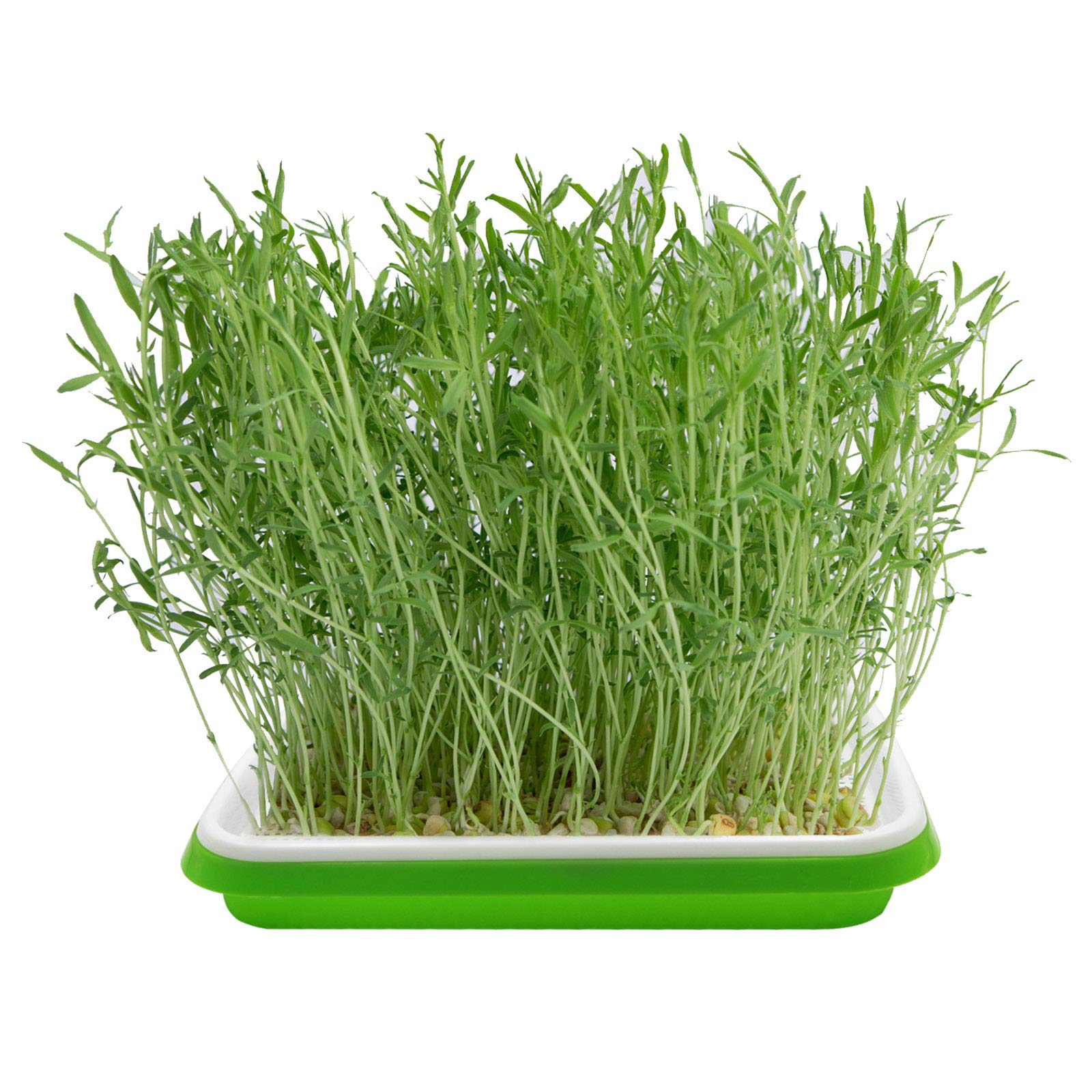 MUDUOBAN versatile seed tray supports beans, peas, alfalfa.