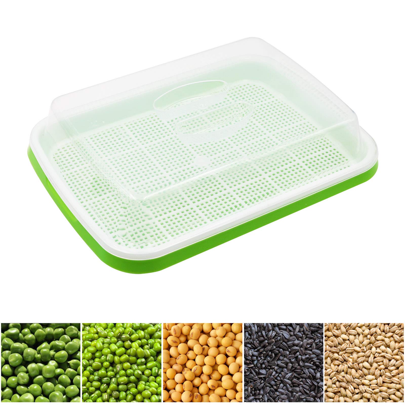 MUDUOBAN lid for efficient indoor germination and moisture control.