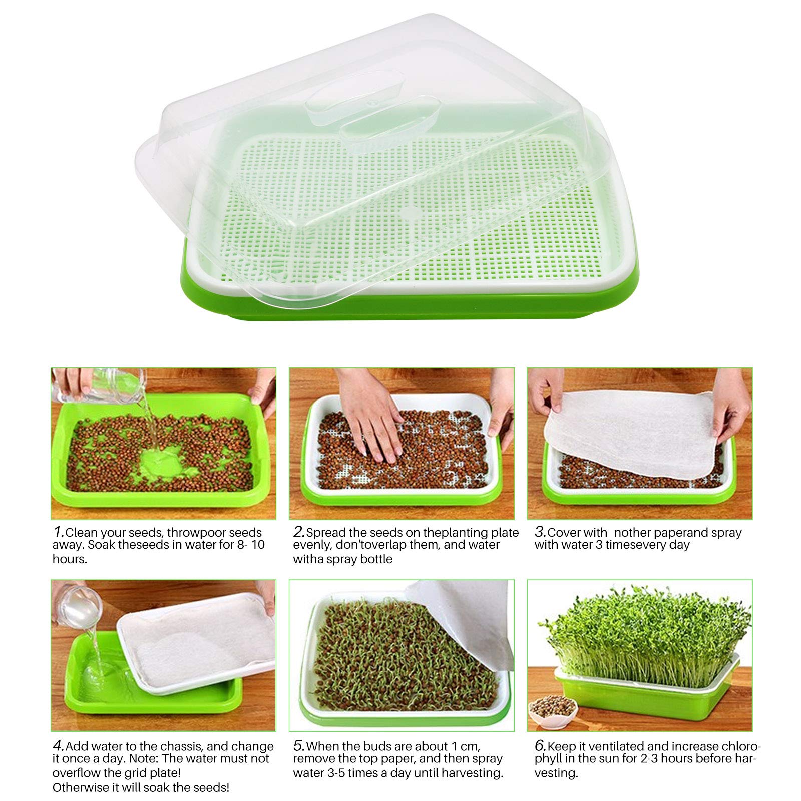 MUDUOBAN soil-free cultivation enables clean, fast greens.