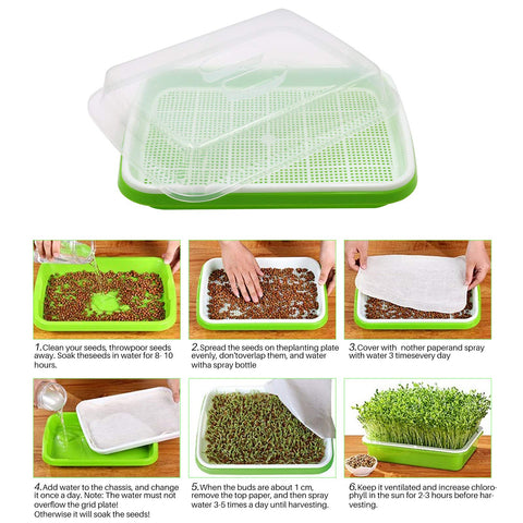 MUDUOBAN soil-free cultivation enables clean, fast greens.