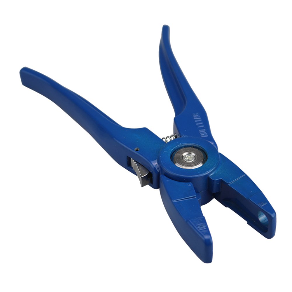 Muduoban ear tag applicator on a goat ready for one-piece tagging, demonstrating efficiency.