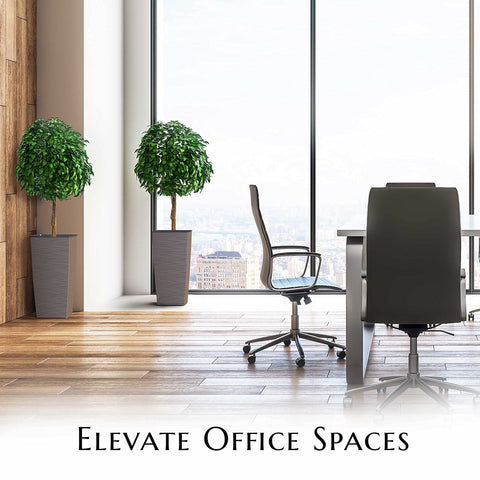Mueller Janska M-Resin two-piece set elevates spaces with modern height.