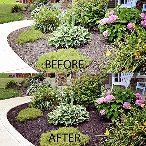 Mulch Worx front yard curb appeal with deep brown mulch
