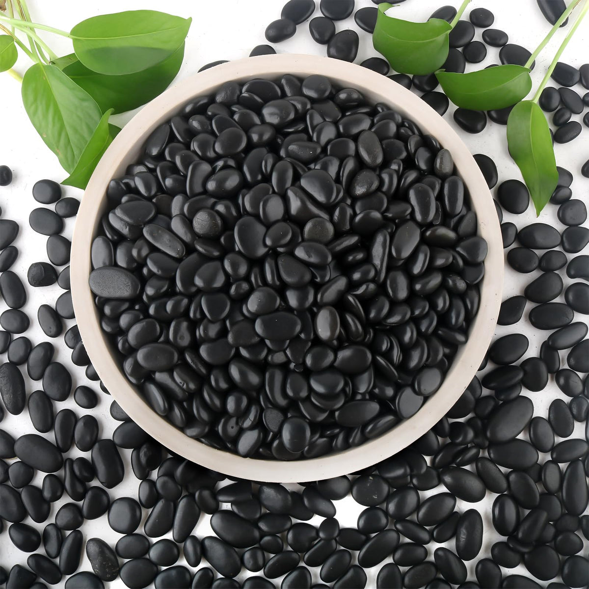 Mulctun 6lb black rocks for planters add refined texture and improved drainage.