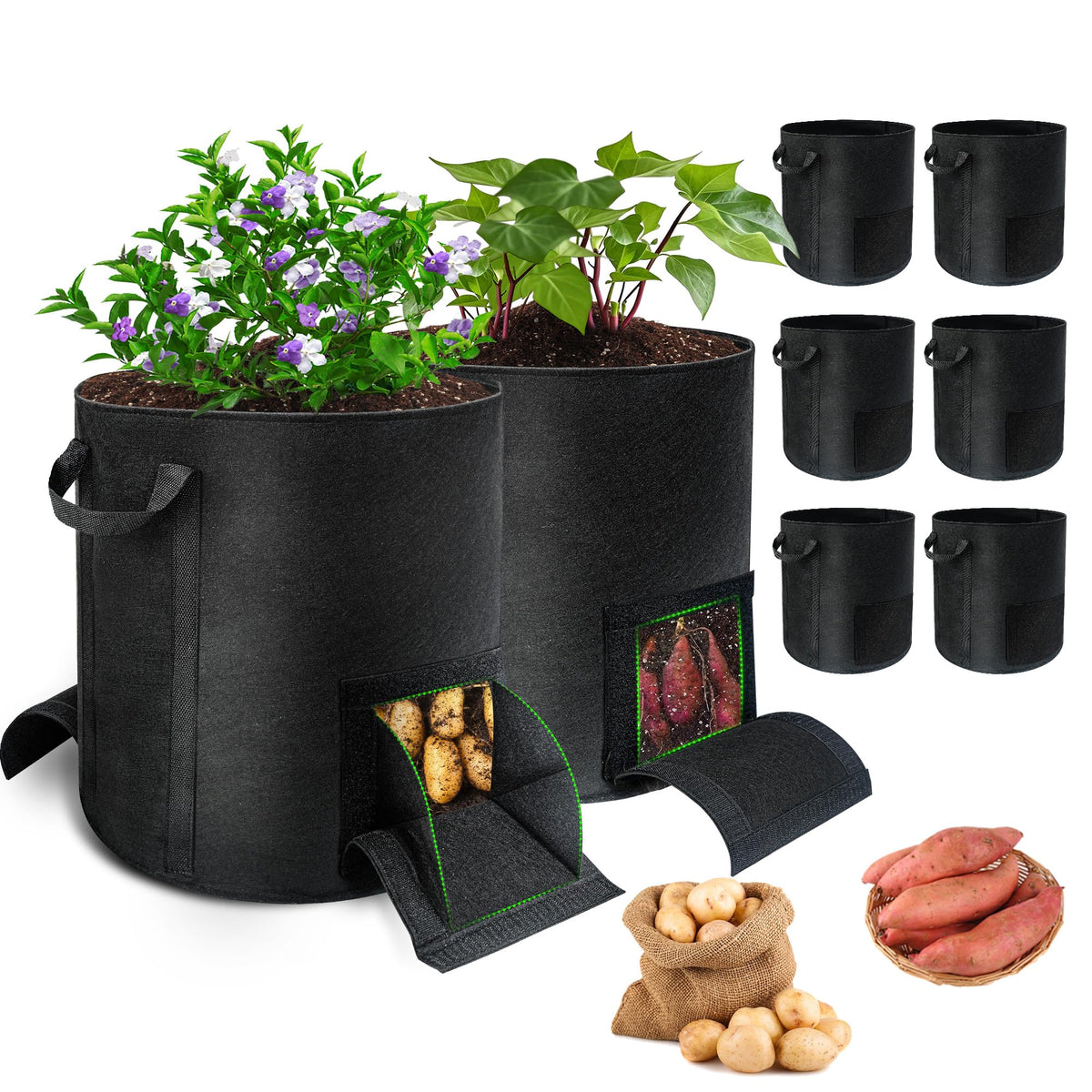 Mulctun potato grow bag with harvest window enables clean picking outdoors.