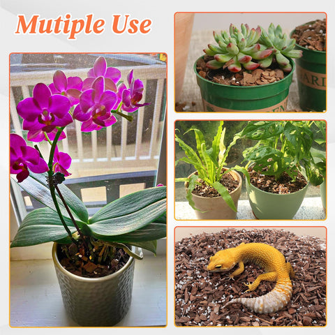 Satisfaction guaranteed with Mulctun orchid mix and responsive customer support.