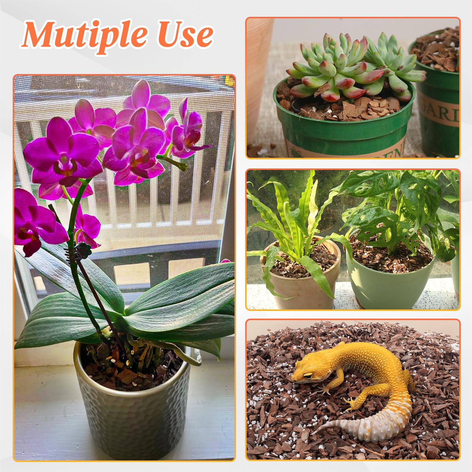 Mulctun orchid mix demonstrates balanced moisture retention